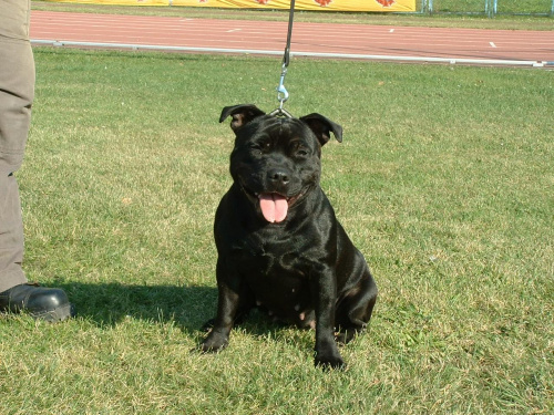 darmowy hosting obrazków