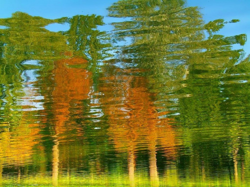 L'automne sur l'eau