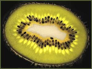 KiwI