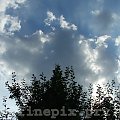 sky #Chorzów #drzewo #niebo #przyroda #zyzio