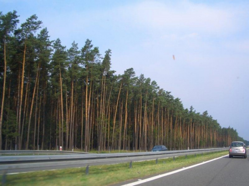 droga na Wrocław