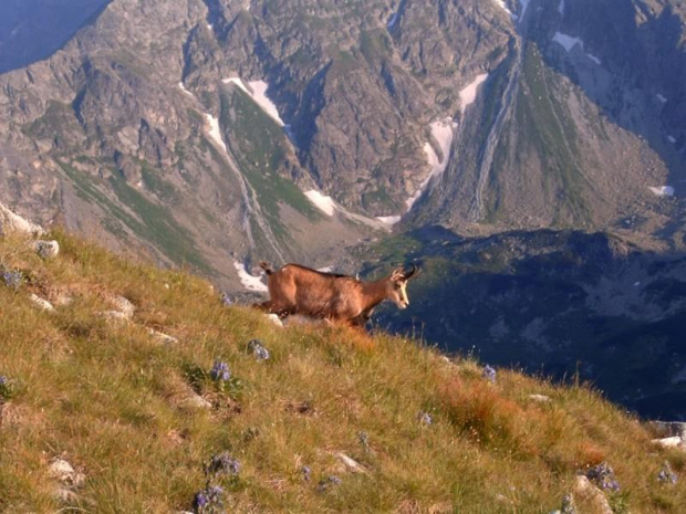 #tatry