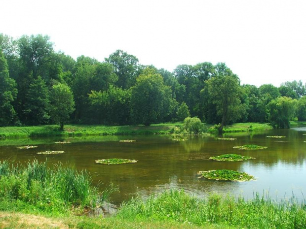 Dęblin - zespół pałacowo-parkowy #Dęblin #park #zabytek #zabytki