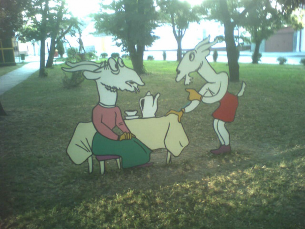 W Pacanowie kozy kują... #pacanów #t3dy
