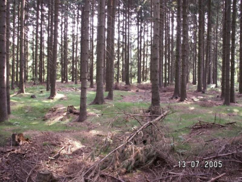 panorama okolicznych miejscowości