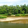 Wieprz koło Niebrzegowa #Wieprz #rzeka #Niebrzegów