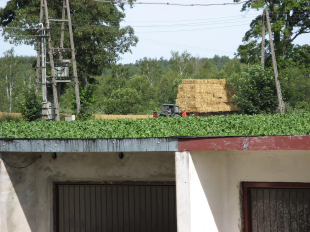 widok z okna - max zoom