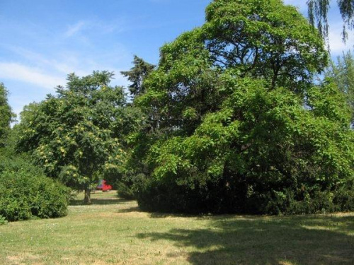 spacer do Doliny Marzeń #park #Toruń #widoki