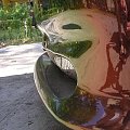 kameleon na punto 2