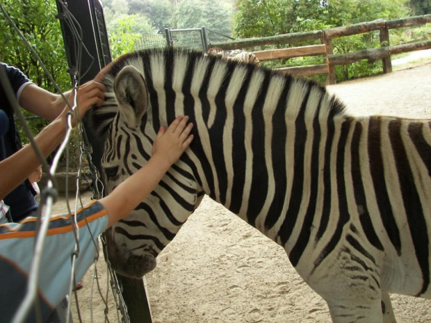 Zoo Krefeld #Zoo