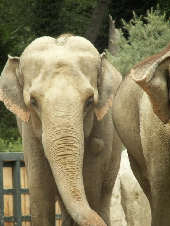 Zoo Krefeld #Zoo