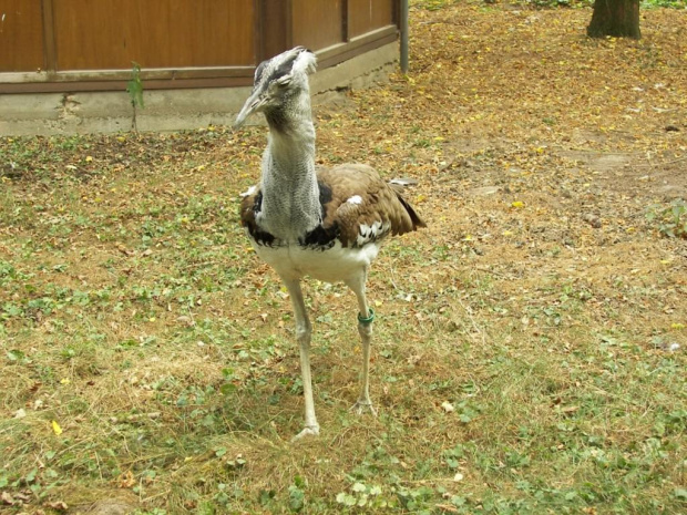 Zoo Krefeld #Zoo