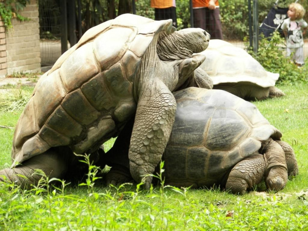 Zoo Krefeld #Zoo