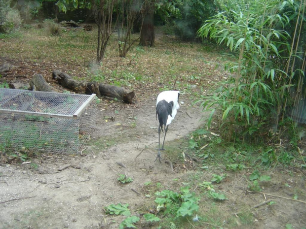 Zoo Krefeld #Zoo