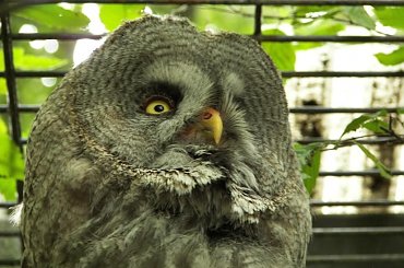 Zoo Krefeld #Zoo