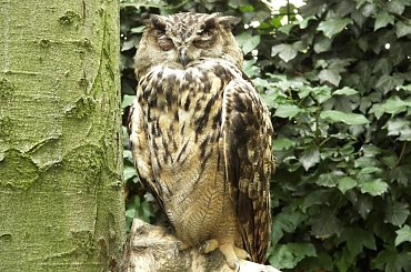 Zoo Krefeld #Zoo