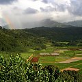 Kauai Island, Hawaii