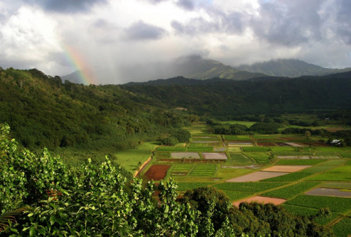 Kauai Island, Hawaii