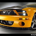 Mustang ;]