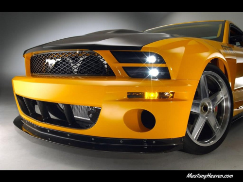 Mustang ;]