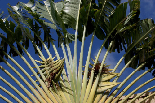 Kauai Island, Hawaii