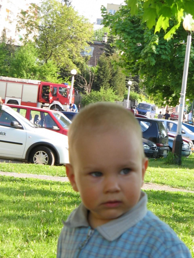 fifulec