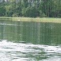spływ Rurzycą