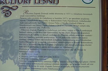 #Gołuchów #wieś