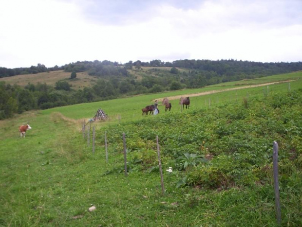 BIESZCZADY