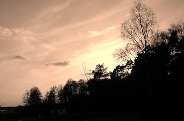 #wirus0 #grudziądz #FotkiWirus0