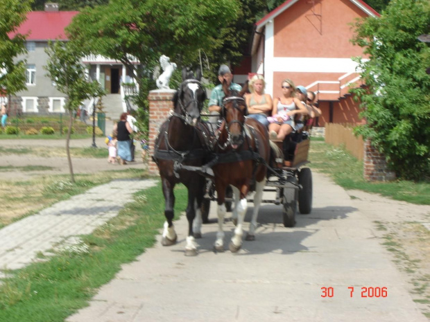 KOSIN 2006