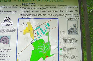 #Rezerwat #Kadyny #las