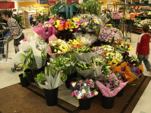 kwiaty w nowo odkrytym przezemnie sklepie ;-)