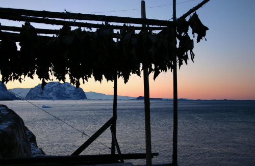 Greenland, Ukkusissat, Dry Fish