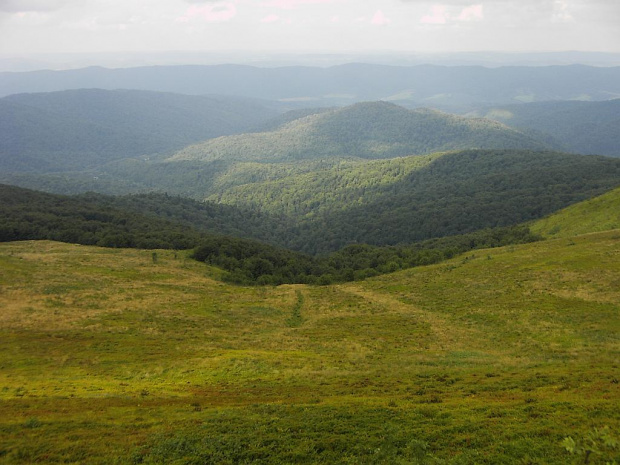 #Bieszczady