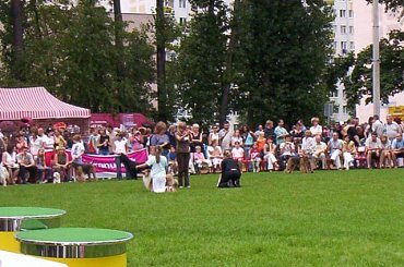 #Toruń