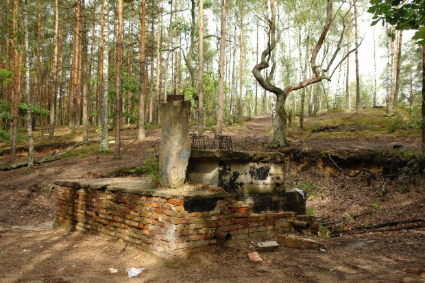 Ćwikowa Góra, Kampinowski Park Narodowy #ĆwikowaGóra #KampinowskiParkNarodowy