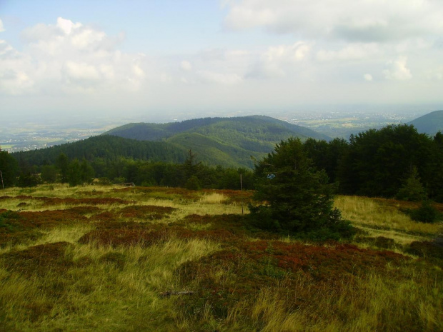 Widok z Błatniej, w tle Bielsko