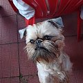 A dla mnie nic nie macie?....