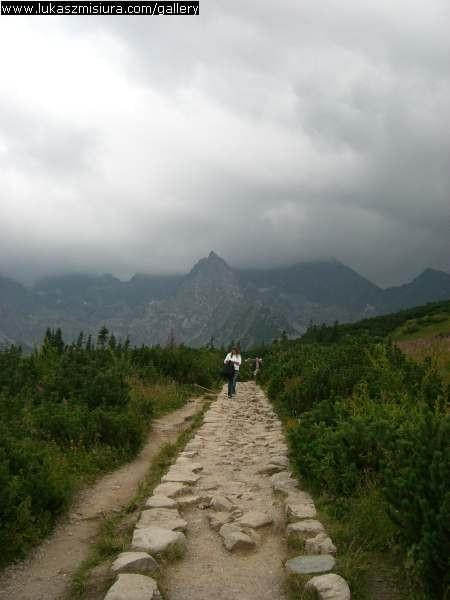 #misiu #zdjecia #góry #zakopane