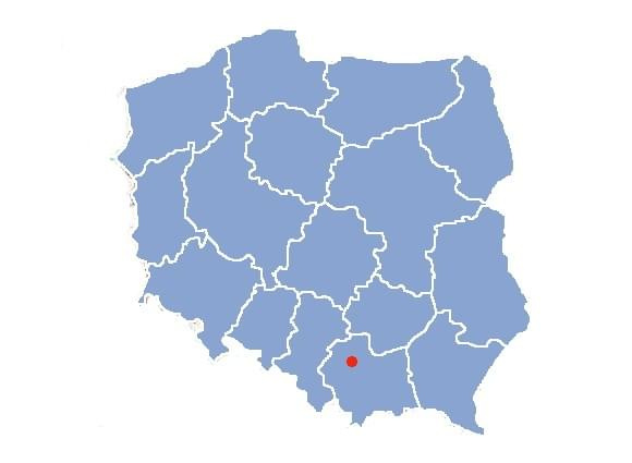 Kraków - miasto w południowej Polsce, położone nad Wisła. Jedno z największych i najstarszych miast Polski o wysokich walorach kulturowych i architektonicznych. W przeszłoci Kraków pełnił rolę stolicy państwa i siedziby władców.