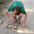 Pungin pochłonięty podchodami