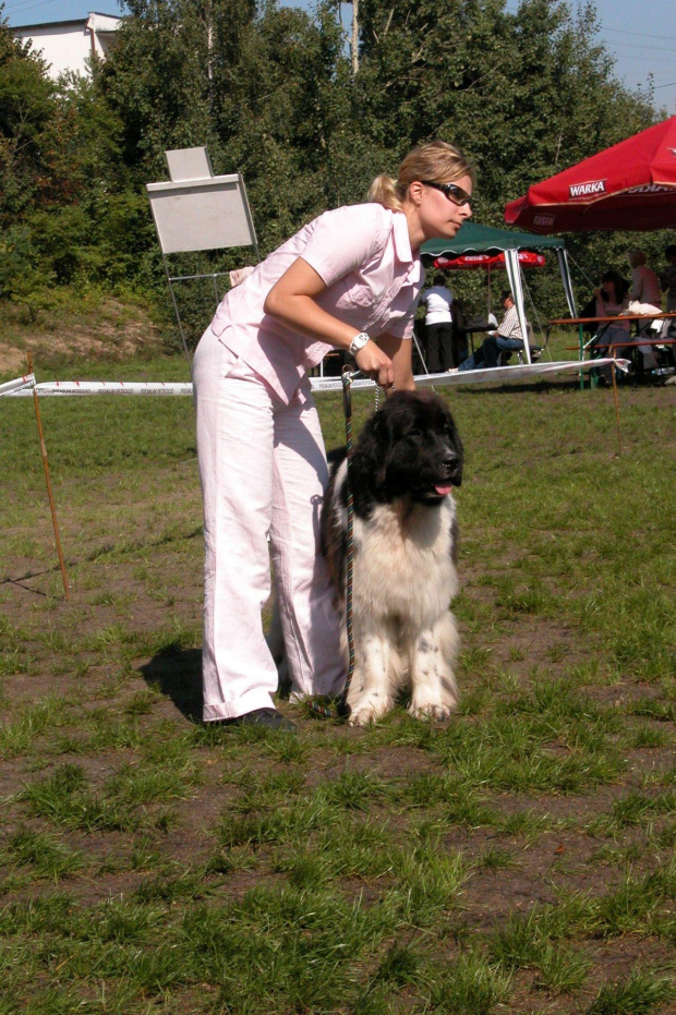 LIDZBARK 2006