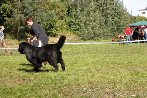 LIDZBARK 2006