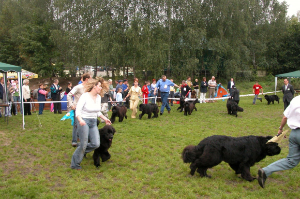 LIDZBARK 2006