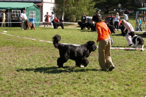 LIDZBARK 2006