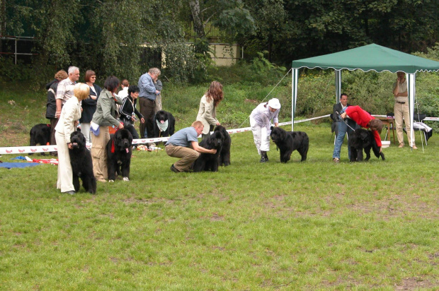 LIDZBARK 2006