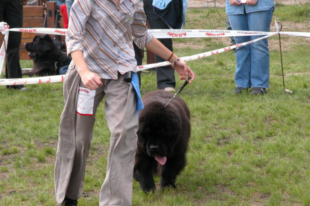 LIDZBARK 2006