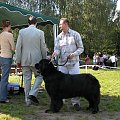 LIDZBARK 2006