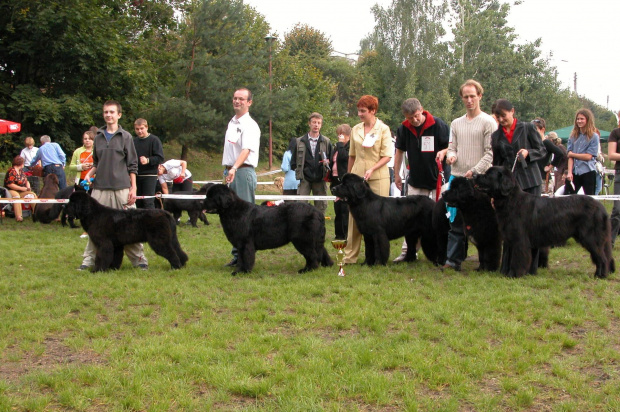 LIDZBARK 2006